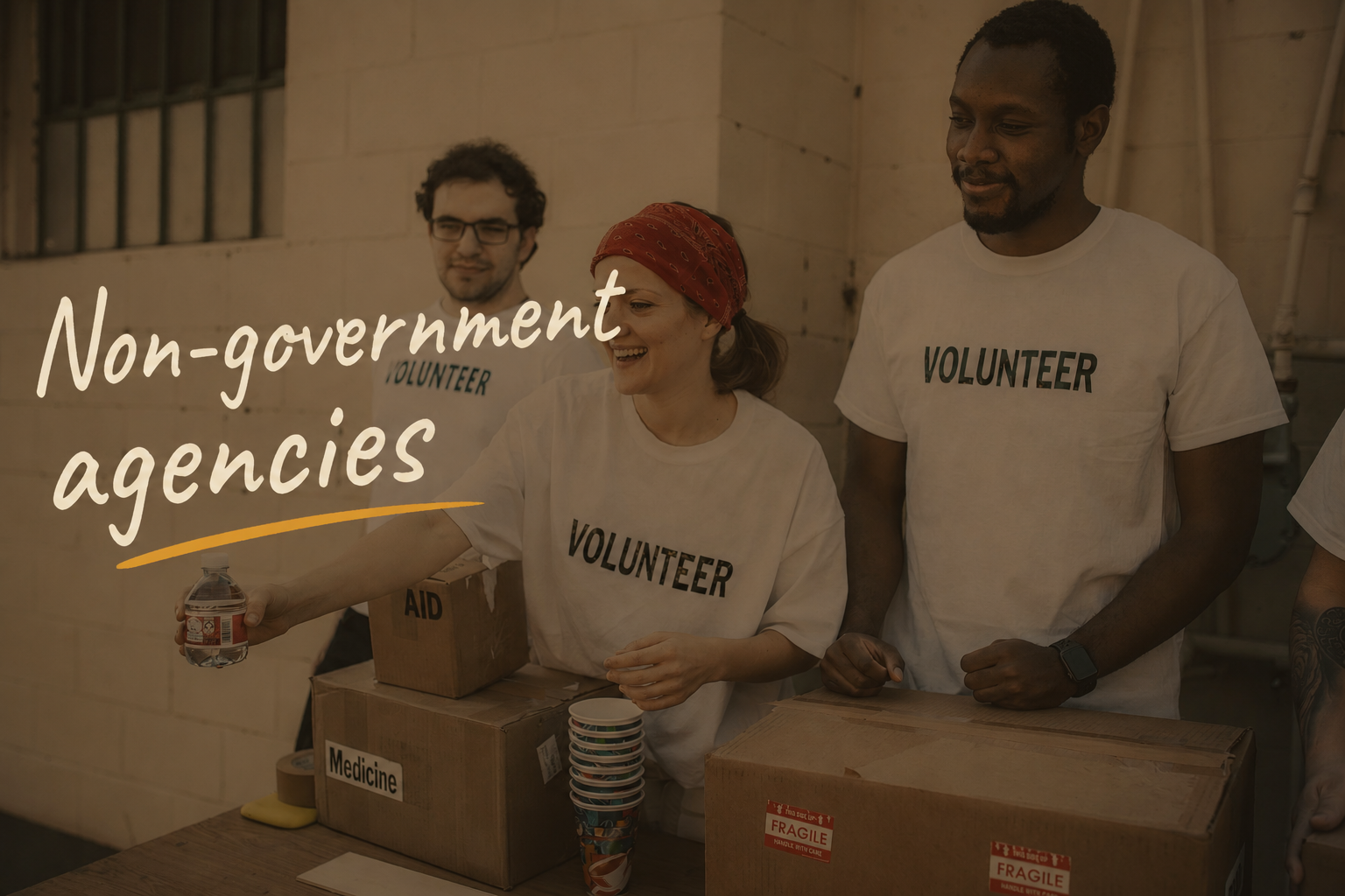 Non-Government Agencies